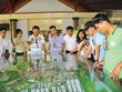 Điểm sáng vùng ven
